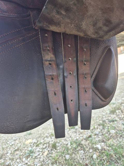 Sella da salto ostacoli CWD  17.5" - 2017