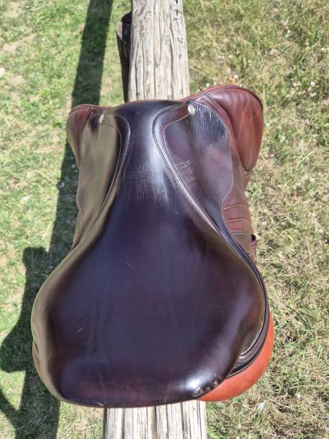 Sella da salto ostacoli CWD  17.5" - 2017