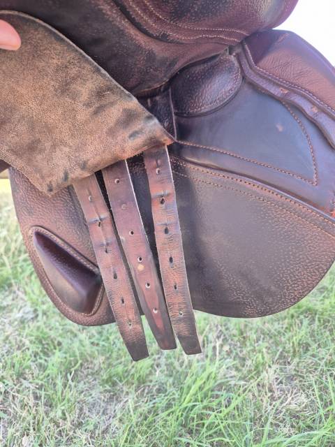 Sella da salto ostacoli CWD  17.5" - 2017