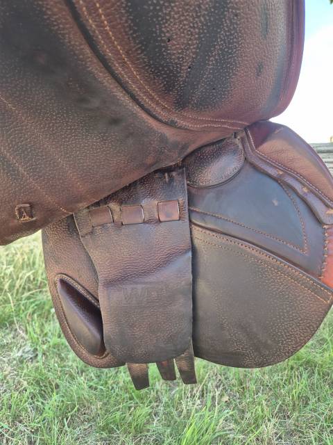 Sella da salto ostacoli CWD  17.5" - 2017