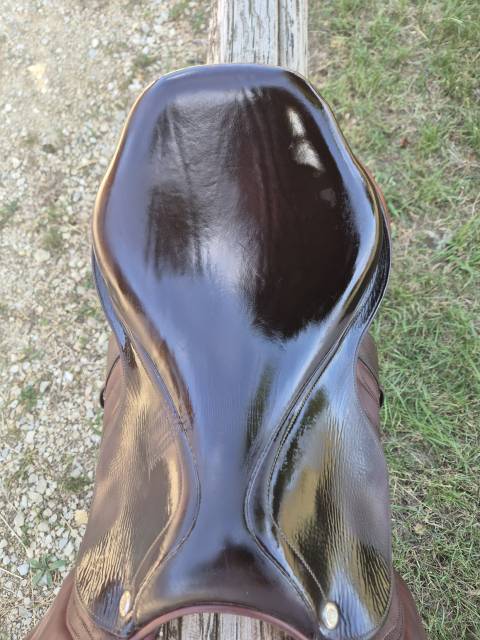 Sella da salto ostacoli CWD  17.5" - 2017