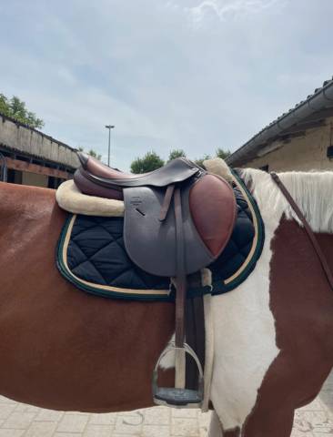 Sella mista Antar&egrave;s  18" - 2023