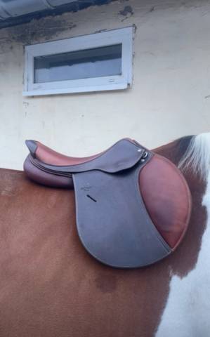 Sella mista Antar&egrave;s  18" - 2023