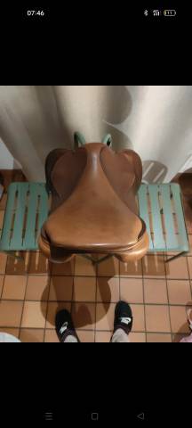 Sella da salto ostacoli Delgrange  17.5" - 2018