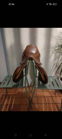 Sella da salto ostacoli Delgrange  17.5" - 2018