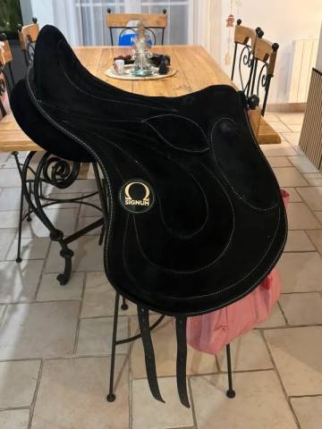 Sella sanza arcione  Signum spring 17" - 2025