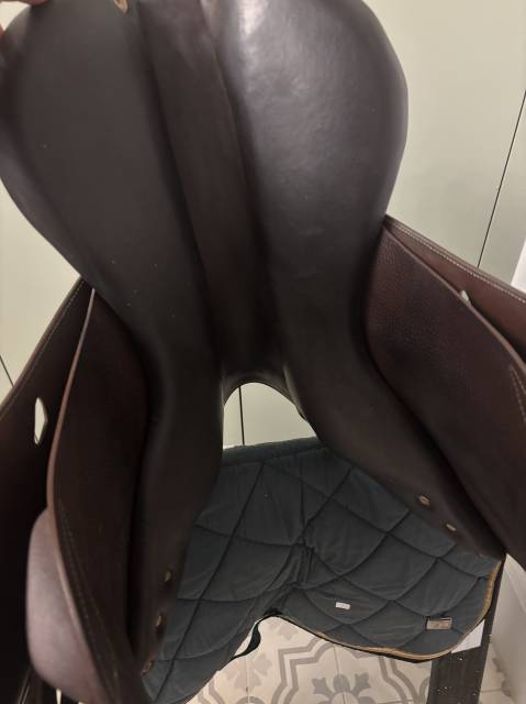 Sella da salto ostacoli Antar&egrave;s  17.5" - 2015