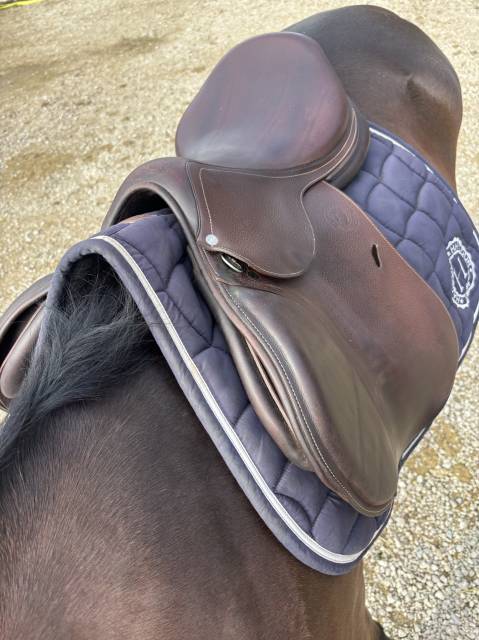 Sella da salto ostacoli Antar&egrave;s  17.5" - 2015