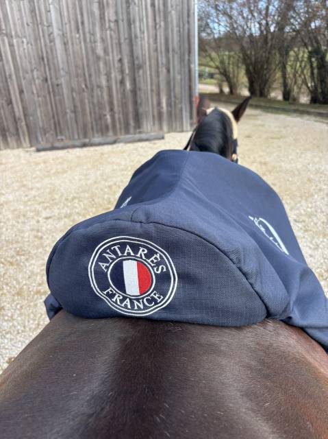 Sella da salto ostacoli Antar&egrave;s  17.5" - 2015