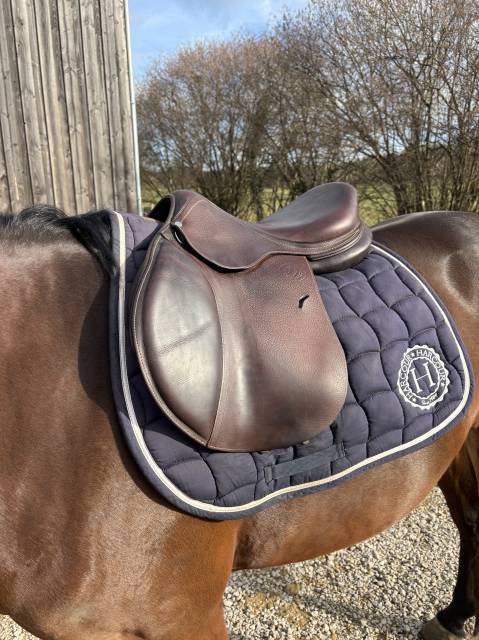 Sella da salto ostacoli Antar&egrave;s  17.5" - 2015