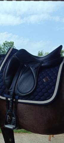 Sella da dressage Devoucoux  17.5" - 2013