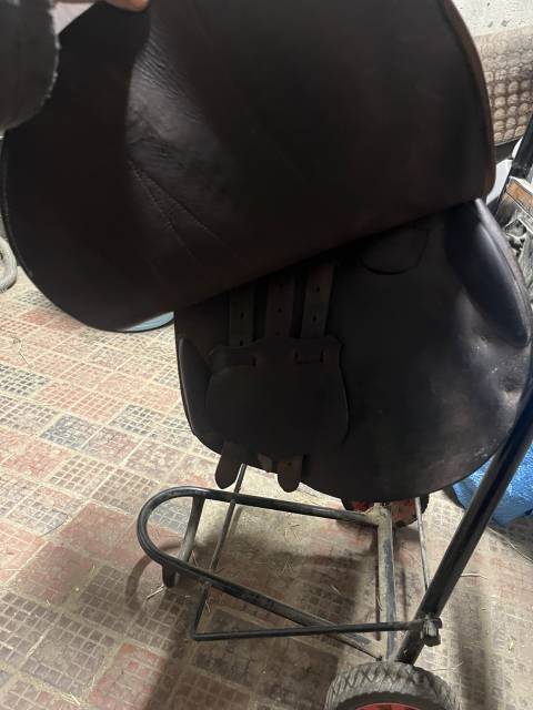 Sella da salto ostacoli Butet  16.5" - 2020