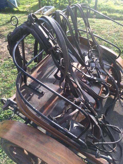 Carrozza / Calesse d&rsquo;epoca a due ruote in legno