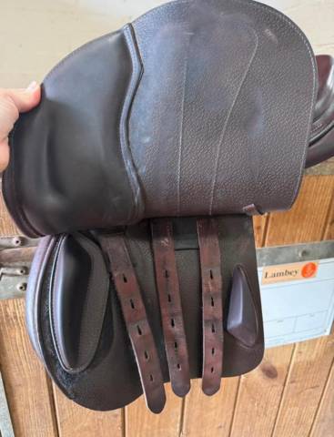 Sella da salto ostacoli Equipe Selle made in italie star  15.5" - 2021