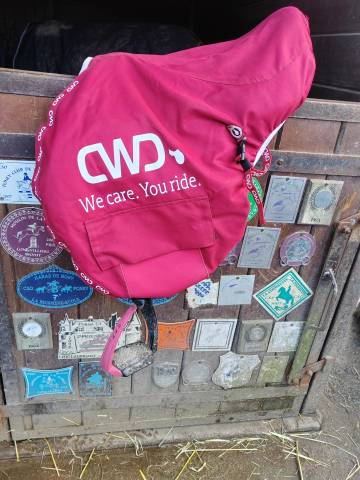 Sella mista CWD  17" - 2024