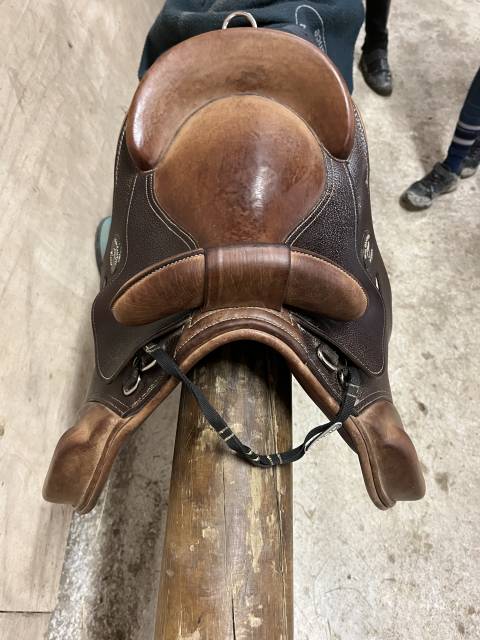 Sella Junior / Sella Pony  Guy Cantin  15.5" - 2023