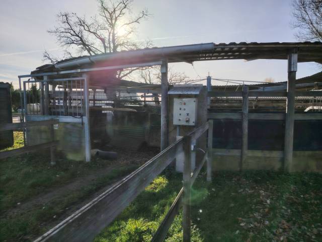  - Altra Marca - Occasione