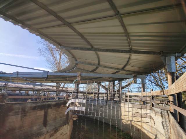  - Altra Marca - Occasione