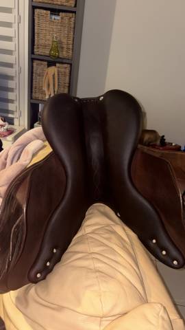 Sella da salto ostacoli Antar&egrave;s Classique  17" - 2012