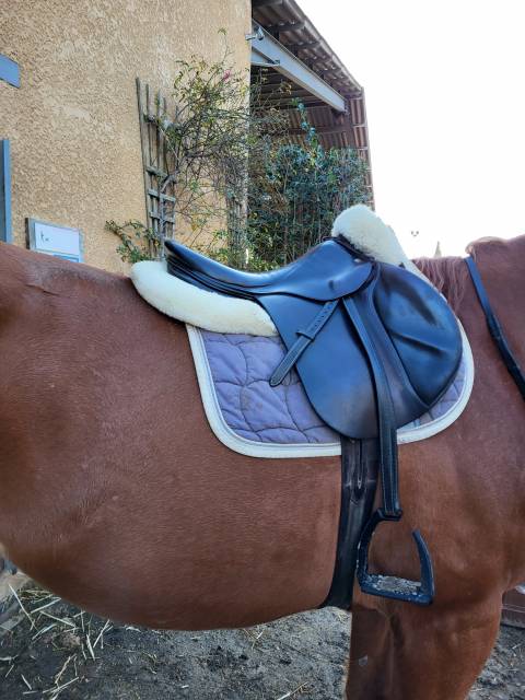 Sella mista Devoucoux  17.5" - 2002