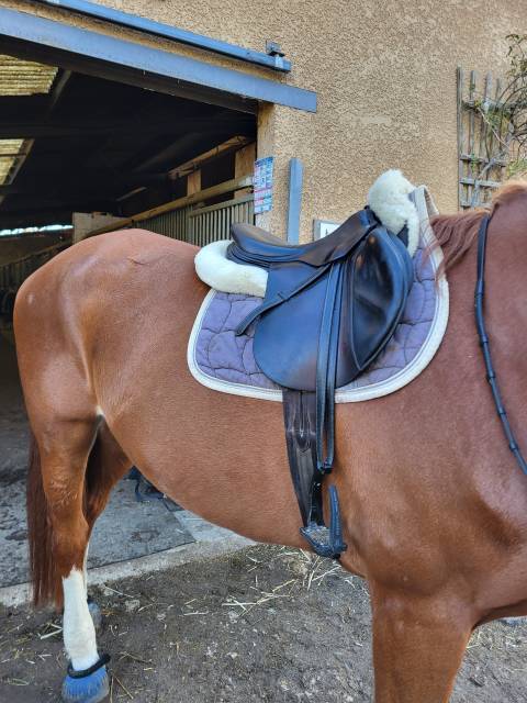 Sella mista Devoucoux  17.5" - 2002