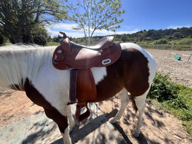 Sella western Pool's 3010 16" - 2025