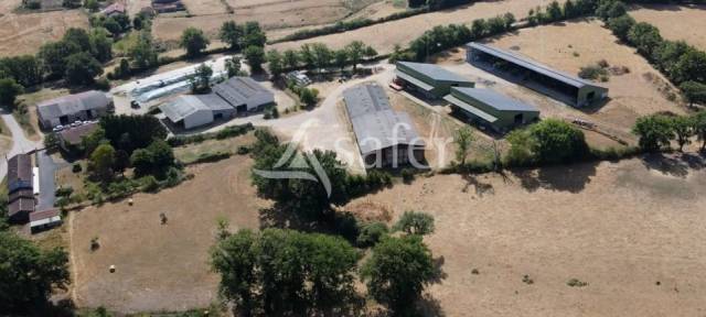 Azienda ovina In vendita Vienne