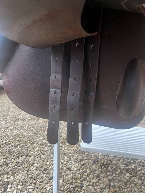 Sella mista Prestige Italia  17" - 2011