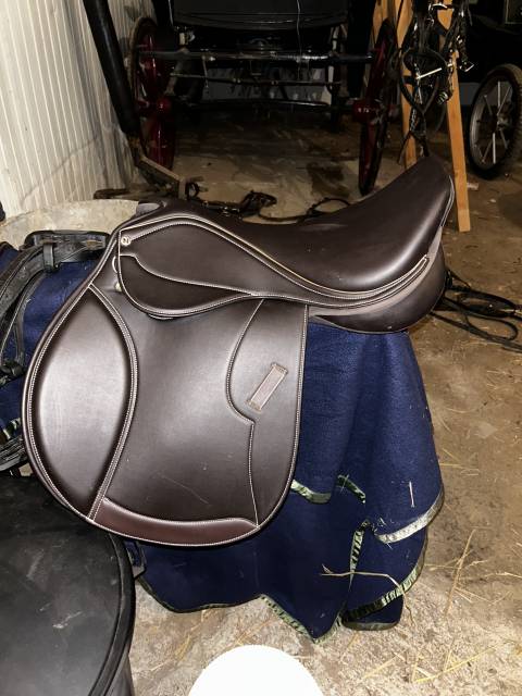 Sella mista Norton  17" - 2025