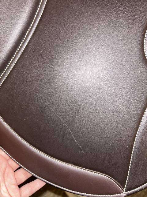 Sella mista Norton  17" - 2025