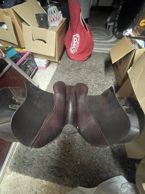 Sella da salto ostacoli CWD  17.5" - 2014