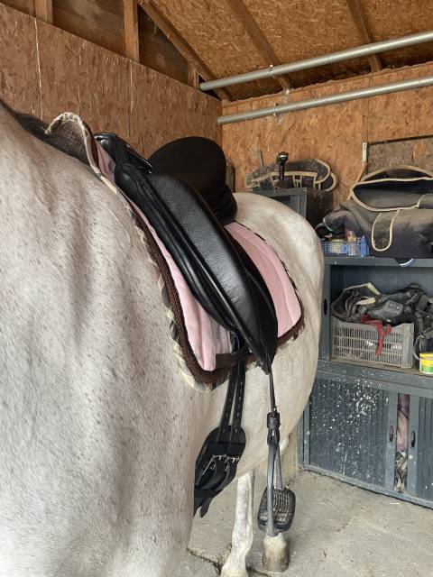 Sella da dressage   17.5" - 2016