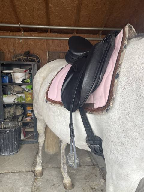 Sella da dressage   17.5" - 2016