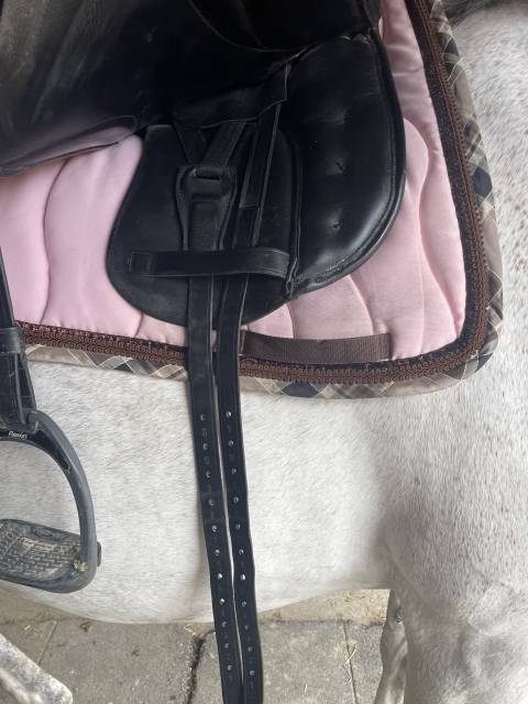 Sella da dressage   17.5" - 2016