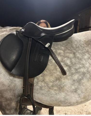 Sella mista GBS  17.5" - 2023