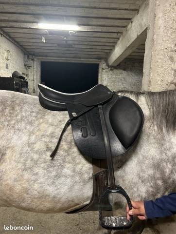 Sella mista GBS  17.5" - 2023