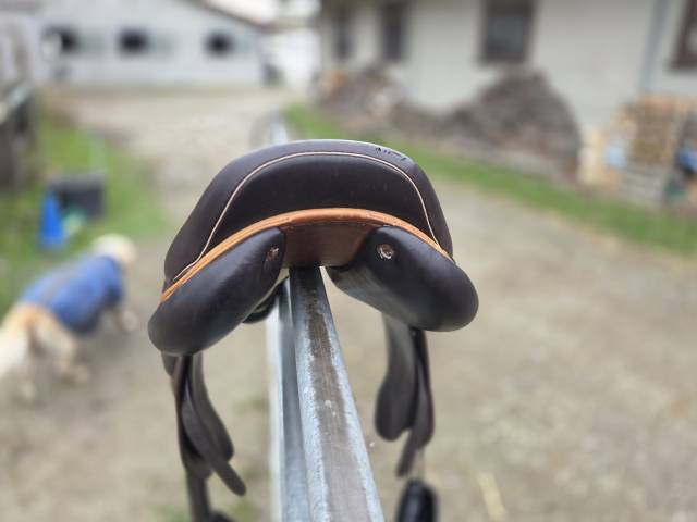 Sella mista Jump in  17.5" - 2017