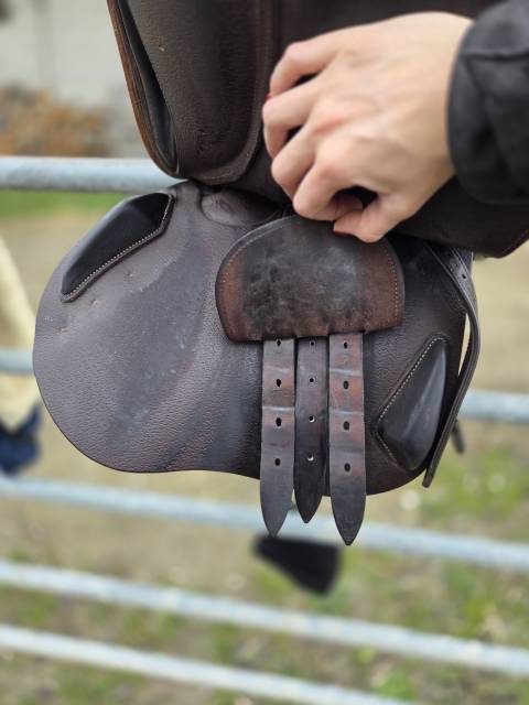 Sella mista Jump in  17.5" - 2017