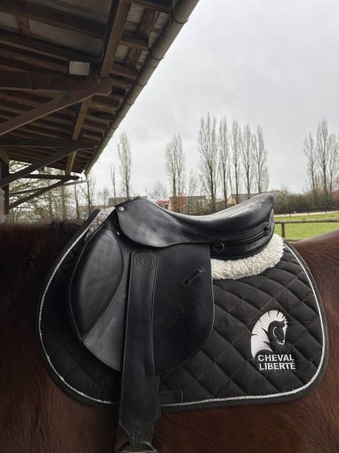 Sella mista Forestier  16.5" - 2008