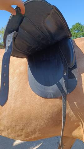 Sella da dressage Fairfax  18" - 2019