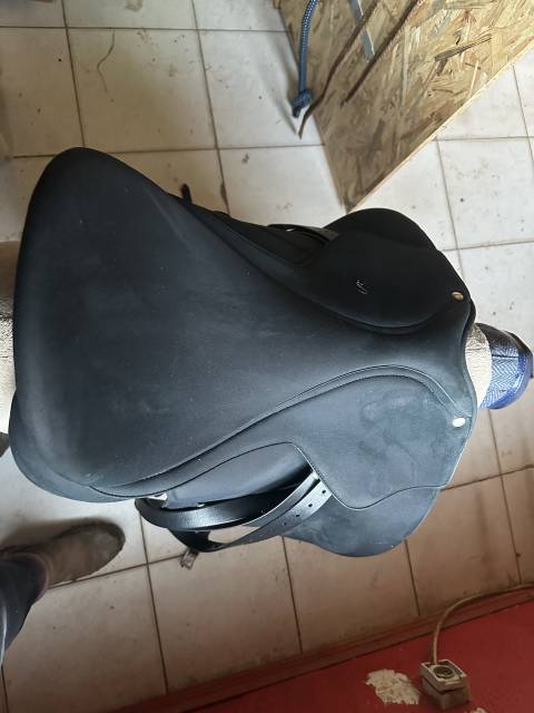 Sella da dressage Wintec  18.5" - 2023