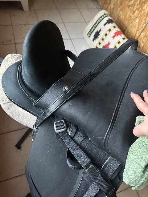 Sella da dressage Wintec  18.5" - 2023