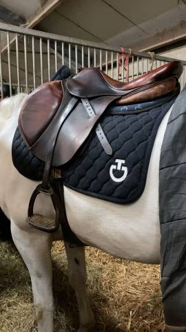 Sella da salto ostacoli Antar&egrave;s  17.5" - 2016