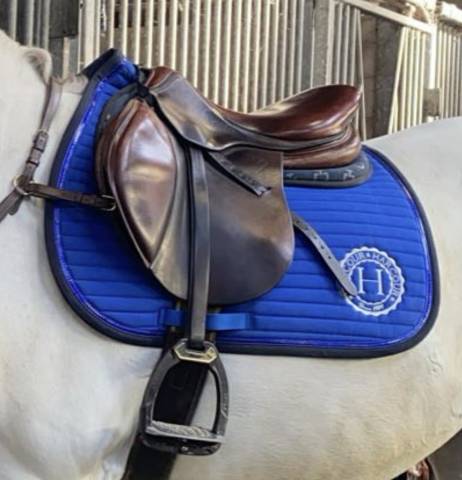 Sella da salto ostacoli Antar&egrave;s  17.5" - 2016