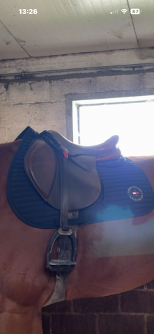 Sella da salto ostacoli Antar&egrave;s  17.5" - 2016