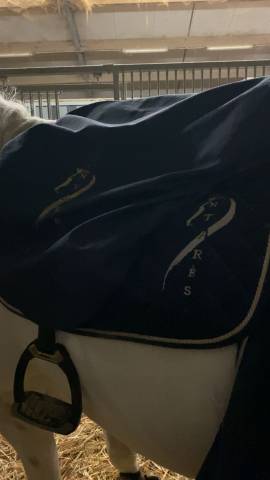 Sella da salto ostacoli Antar&egrave;s  17.5" - 2016