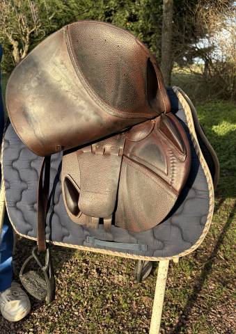 Sella da salto ostacoli CWD  18" - 2017