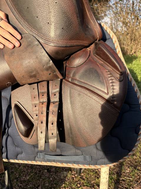 Sella da salto ostacoli CWD  18" - 2017