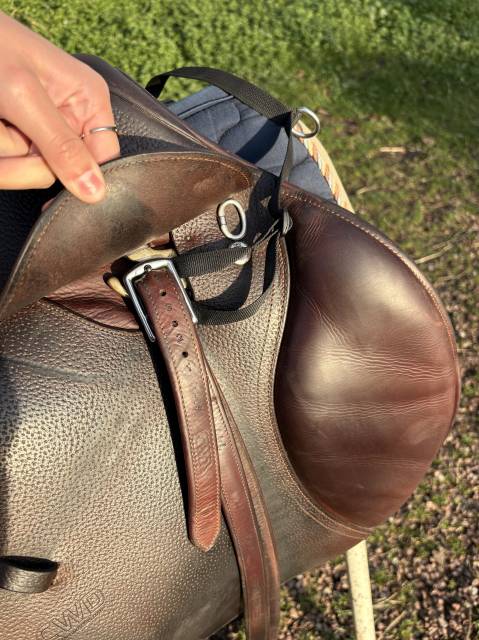 Sella da salto ostacoli CWD  18" - 2017