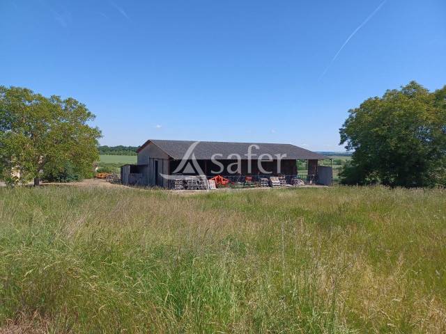 Azienda agricola In vendita Vienne
